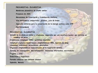 PROCARIOTAS- EUCARIOTAS

        Membrana plasmática de diseño similar

        Presencia de ADN

        Mecanismos de trascripción y transducción similares

        Vías metabólicas compartidas: glicólisis, ciclo de krebs

        Aparatos similares para la conservación de la energía química como ATP

        PROTEOSOMAS


PROCARIOTAS- EUCARIOTAS
División de la célula en núcleo y citoplasma, separadas por una envoltura nuclear que contiene un
     complejo de poros
Cromosomas complejos: ADN + proteínas asociadas
Complejos organelos membranosos citoplasmáticos: RER, Aparato de Golgi,
Lisosomas, endosomas, peroxisomas, glioxisomas
Organelos citoplasmáticos especializados en la respiración aerobia
Sistema de citoesqueleto: Microfilamentos, filamentos intermedios, microtubulos
Flagelos y cilios
Endocitosis y fagocitosis
Paredes celulares que contiene celulosa
Diploidia. Meiosis
 