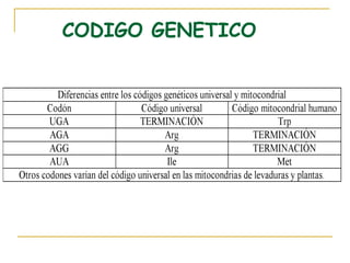 CODIGO GENETICO
 