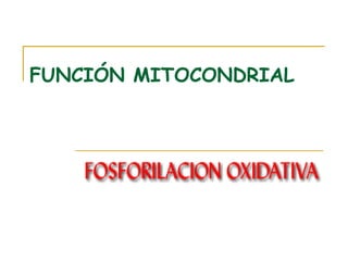 FUNCIÓN MITOCONDRIAL
 