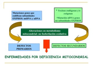 • Toxinas endógenas y/o
   Mutaciones genes que                        exógenas
   codifican subunidades
   OXPHOS: mtDNA y nDNA                 •Mutación nDNA genes
                                       no subunidades OXPHOS



               Alteraciones en metabolismo
          mitocondrial: no fosforilación oxidativa



     DEFECTOS                        DEFECTOS SECUNDARIOS
     PRIMARIOS


ENFERMEDADES POR DEFICIENCIA MITOCONDRIAL
 