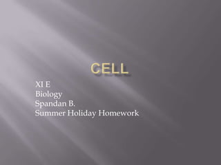 XI E
Biology
Spandan B.
Summer Holiday Homework
 