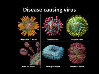 Disease causing virus
 