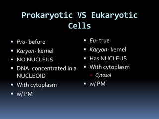 Prokaryotic VS Eukaryotic
Cells
 Pro- before

 Eu- true

 Karyon- kernel

 Karyon- kernel

 NO NUCLEUS

 Has NUCLEUS

 DNA: concentrated in a
NUCLEOID

 With cytoplasm

 With cytoplasm

 w/ PM

 w/ PM

 Cytosol

 