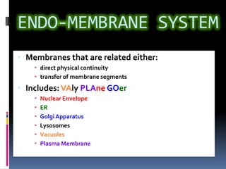 ENDO-MEMBRANE SYSTEM
 Membranes that are related either:
 direct physical continuity
 transfer of membrane segments

 Includes: VAly PLAne GOer







Nuclear Envelope
ER
Golgi Apparatus
Lysosomes
Vacuoles
Plasma Membrane

 