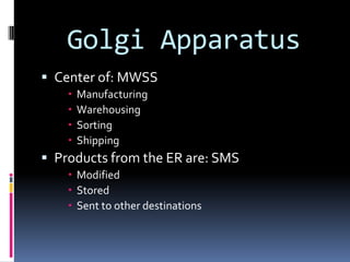 Golgi Apparatus
 Center of: MWSS





Manufacturing
Warehousing
Sorting
Shipping

 Products from the ER are: SMS
 Modified
 Stored
 Sent to other destinations

 