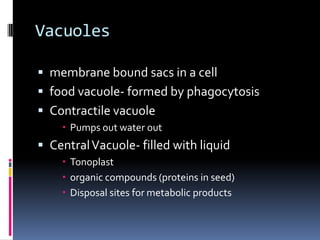 Vacuoles
 membrane bound sacs in a cell
 food vacuole- formed by phagocytosis

 Contractile vacuole
 Pumps out water out

 Central Vacuole- filled with liquid
 Tonoplast
 organic compounds (proteins in seed)
 Disposal sites for metabolic products

 
