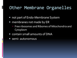 Other Membrane Organelles
 not part of Endo-Membrane System
 membranes not made by ER
 Free ribosomes and Ribomes of Mitochondria and

Cytoplasm

 contain small amounts of DNA

 semi- autonomous

 