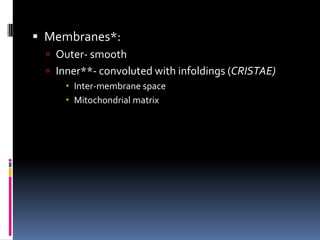  Membranes*:
 Outer- smooth
 Inner**- convoluted with infoldings (CRISTAE)
 Inter-membrane space
 Mitochondrial matrix

 