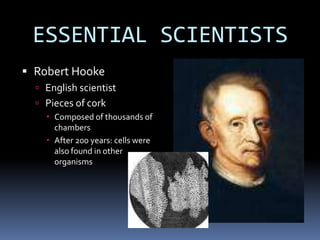 ESSENTIAL SCIENTISTS
 Robert Hooke
 English scientist

 Pieces of cork
 Composed of thousands of
chambers
 After 200 years: cells were
also found in other
organisms

 