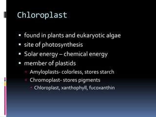 Chloroplast
 found in plants and eukaryotic algae
 site of photosynthesis

 Solar energy – chemical energy
 member of plastids
 Amyloplasts- colorless, stores starch

 Chromoplast- stores pigments
 Chloroplast, xanthophyll, fucoxanthin

 