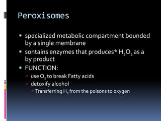Peroxisomes
 specialized metabolic compartment bounded

by a single membrane
 sontains enzymes that produces* H2O2 as a
by product
 FUNCTION:
 use O2 to break Fatty acids
 detoxify alcohol
 Transferring H2 from the poisons to oxygen

 