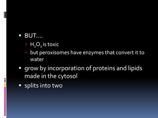  BUT….
 H2O2 is toxic

 but peroxisomes have enzymes that convert it to

water

 grow by incorporation of proteins and lipids

made in the cytosol
 splits into two

 