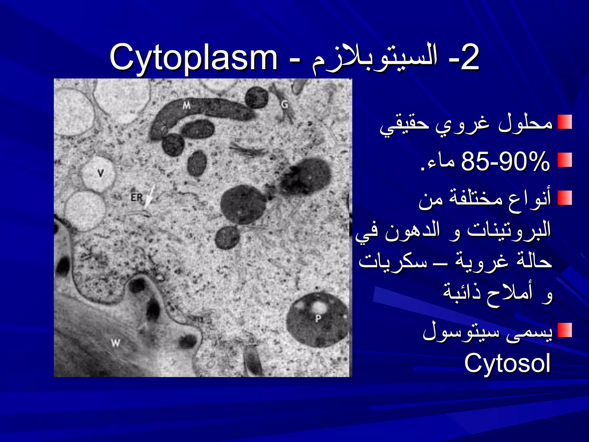 ‫2- السيتوبلمزم - ‪Cytoplasm‬‬
‫محلول غروي حقيقي‬
‫%09-58 ماء.‬
‫أنواع مختلفة من‬
‫البروتينات و الدهون في‬
‫حالة غروية – سكريات‬
‫و أمل ح ذائبة‬
‫يسمى سيتوسول‬
‫‪Cytosol‬‬

 