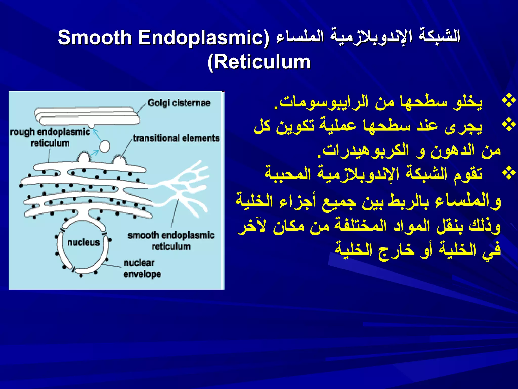 ‫الشبكة الدندوبلمزمية الملساء )‪Smooth Endoplasmic‬‬
‫‪(Reticulum‬‬

‫‪ ‬يخلو سطحها من الرايبوسومات.‬
‫‪ ‬يجرى عند سطحها عملية تكوين كل‬
‫من الدهون و الكربوهيدرات.‬
‫‪ ‬تقوم الشبكة الدندوبلمزمية المحببة‬
‫والملساء بالربط بين جميع أجزاء الخلية‬
‫وذلك بنقل المواد المختلفة من مكان لرخر‬
‫في الخلية أو رخارج الخلية‬

 