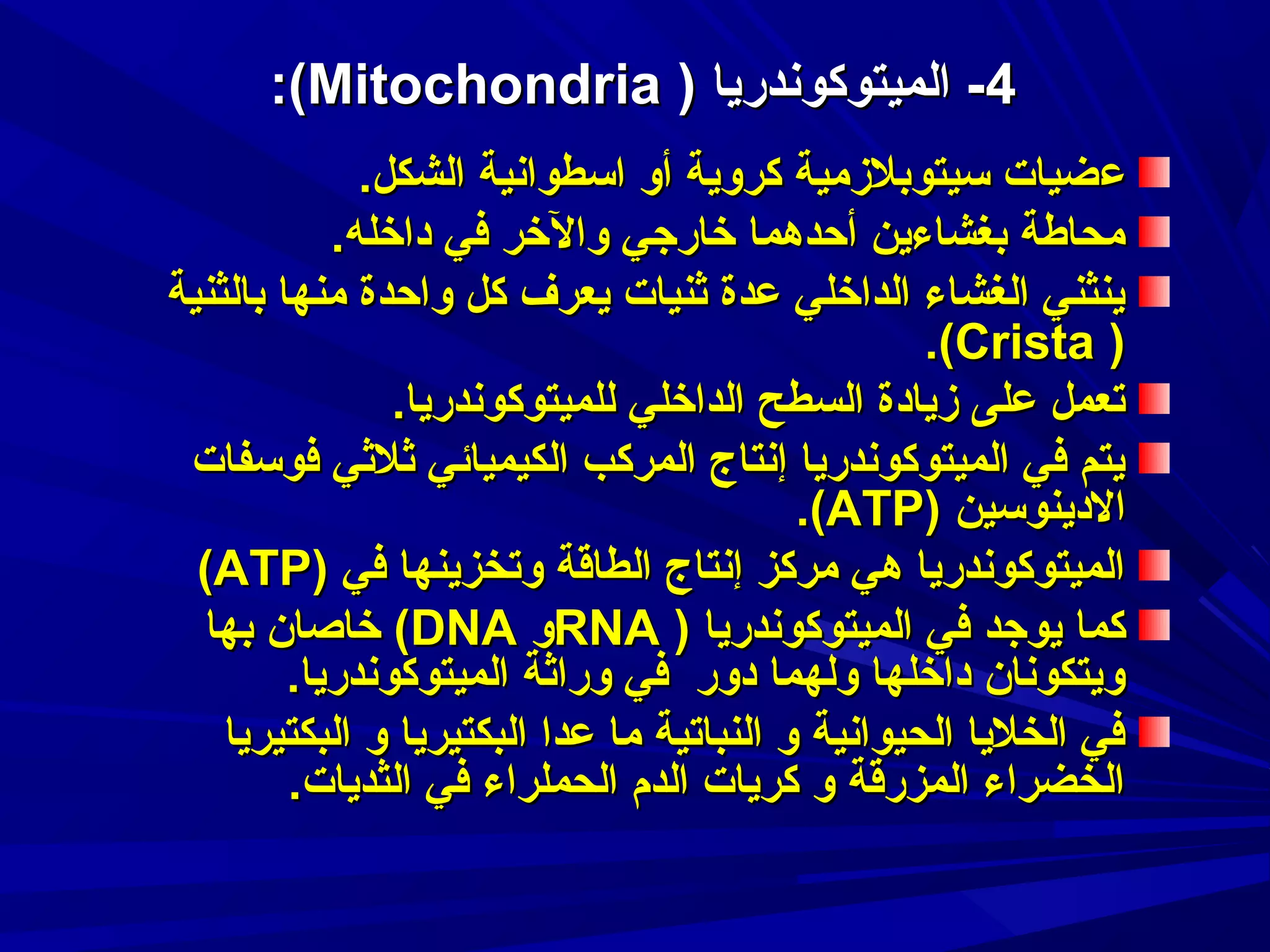 ‫4- الميتوكودندريا ) ‪:(Mitochondria‬‬
‫عضيات سيتوبلمزمية كروية أو اسطوادنية الشكل.‬
‫محاطة بغشاءين أحدهما رخارجي والرخر في دارخله.‬
‫ينثني الغشاء الدارخلي عدة ثنيات يعرف كل واحدة منها بالثنية‬
‫) ‪.(Crista‬‬
‫تعمل على مزيادة السطح الدارخلي للميتوكودندريا.‬
‫يتم في الميتوكودندريا إدنتاج المركب الكيميائي ثلثي فوسفات‬
‫الدينوسين )‪.(ATP‬‬
‫الميتوكودندريا هي مركز إدنتاج الطاقة وتخزينها في )‪(ATP‬‬
‫كما يوجد في الميتوكودندريا ) ‪RNA‬و ‪ (DNA‬رخاصان بها‬
‫ويتكودنان دارخلها ولهما دور في وراثة الميتوكودندريا.‬
‫في الخليا الحيوادنية و النباتية ما عدا البكتيريا و البكتيريا‬
‫الخضراء المزرقة و كريات الدم الحملراء في الثديات.‬

 