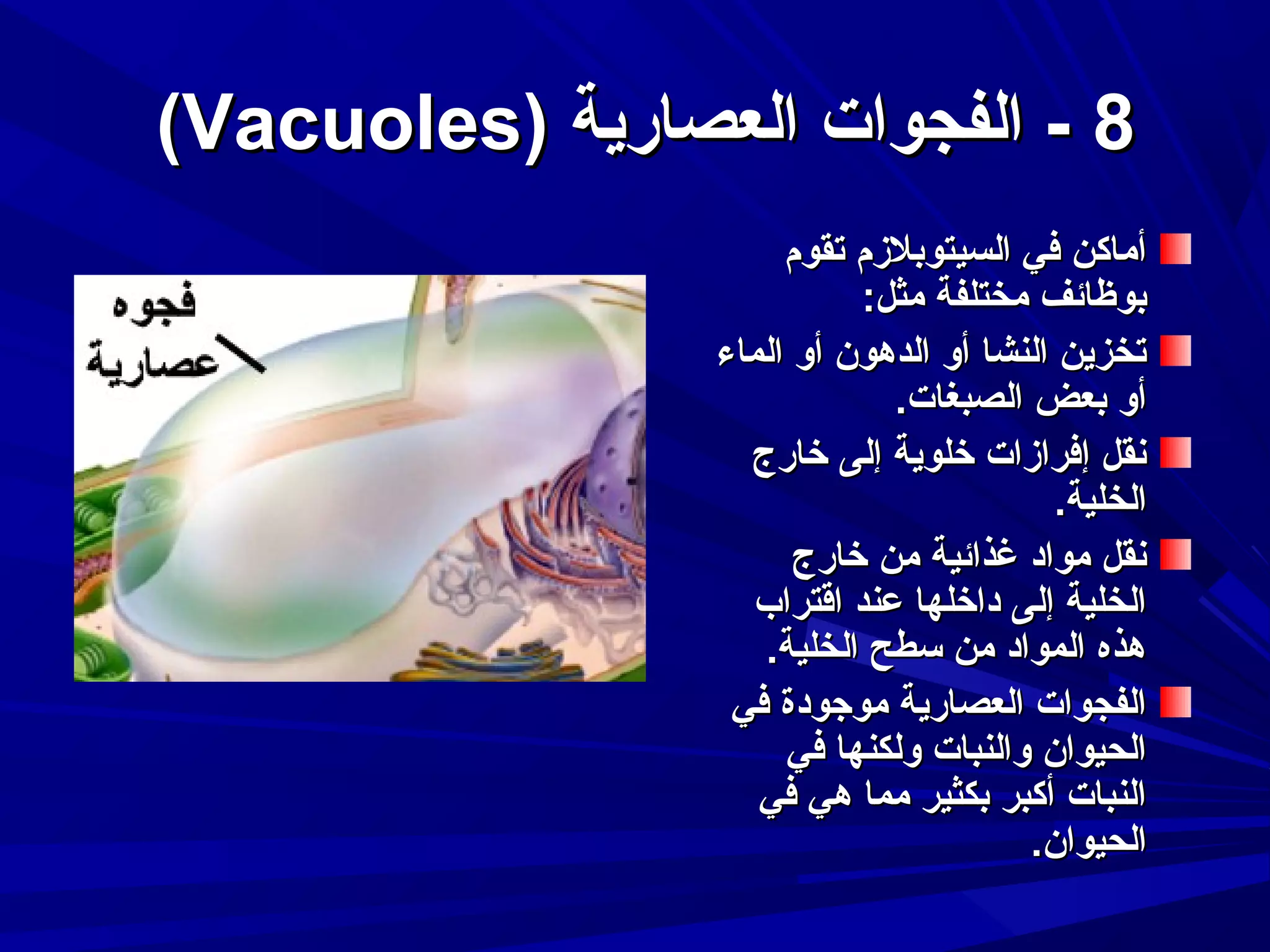 ‫8 - الفجوات العصارية )‪(Vacuoles‬‬
‫أماكن في السيتوبلمزم تقوم‬
‫بوظائف مختلفة مثل:‬
‫تخزين النشا أو الدهون أو الماء‬
‫أو بعض الصبغات.‬
‫دنقل إفرامزات رخلوية إلى رخارج‬
‫الخلية.‬
‫دنقل مواد غذائية من رخارج‬
‫الخلية إلى دارخلها عند اقتراب‬
‫هذه المواد من سطح الخلية.‬
‫الفجوات العصارية موجودة في‬
‫الحيوان والنبات ولكنها في‬
‫النبات أكبر بكثير مما هي في‬
‫الحيوان.‬

 