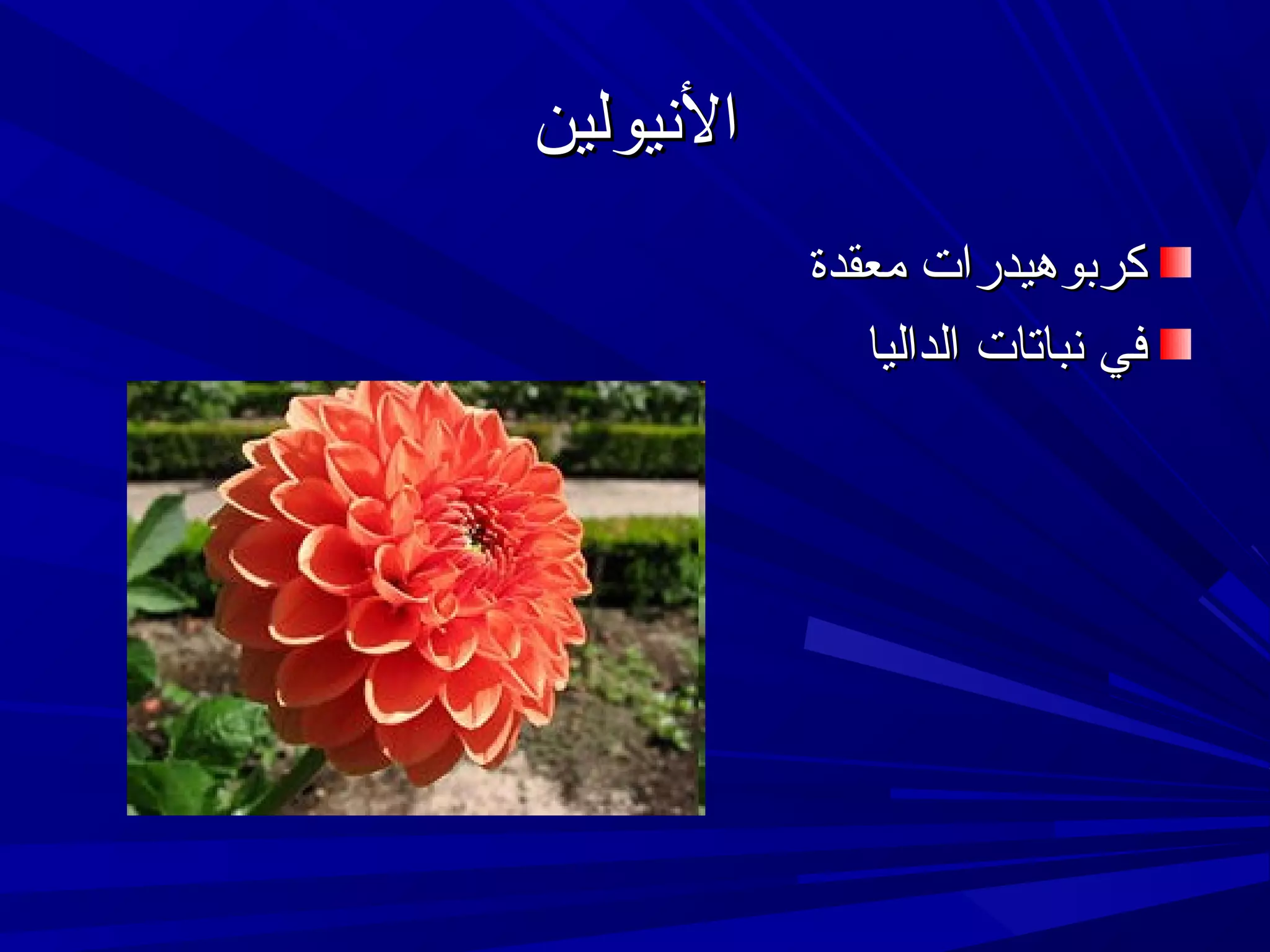 ‫النيولين‬
‫كربوهيدرات معقدة‬
‫في نباتات الداليا‬

 