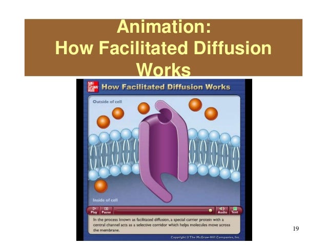 cell 19 638 jpg cb 1396735002 how facilitated diffusion works