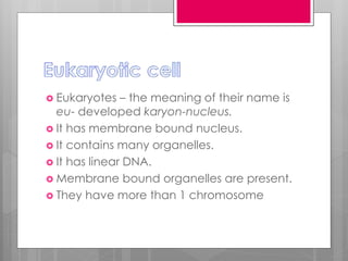  Eukaryotes – the meaning of their name is
eu- developed karyon-nucleus.
 It has membrane bound nucleus.
 It contains many organelles.
 It has linear DNA.
 Membrane bound organelles are present.
 They have more than 1 chromosome
 