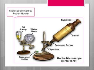 Microscope used by
Robert Hooke
 