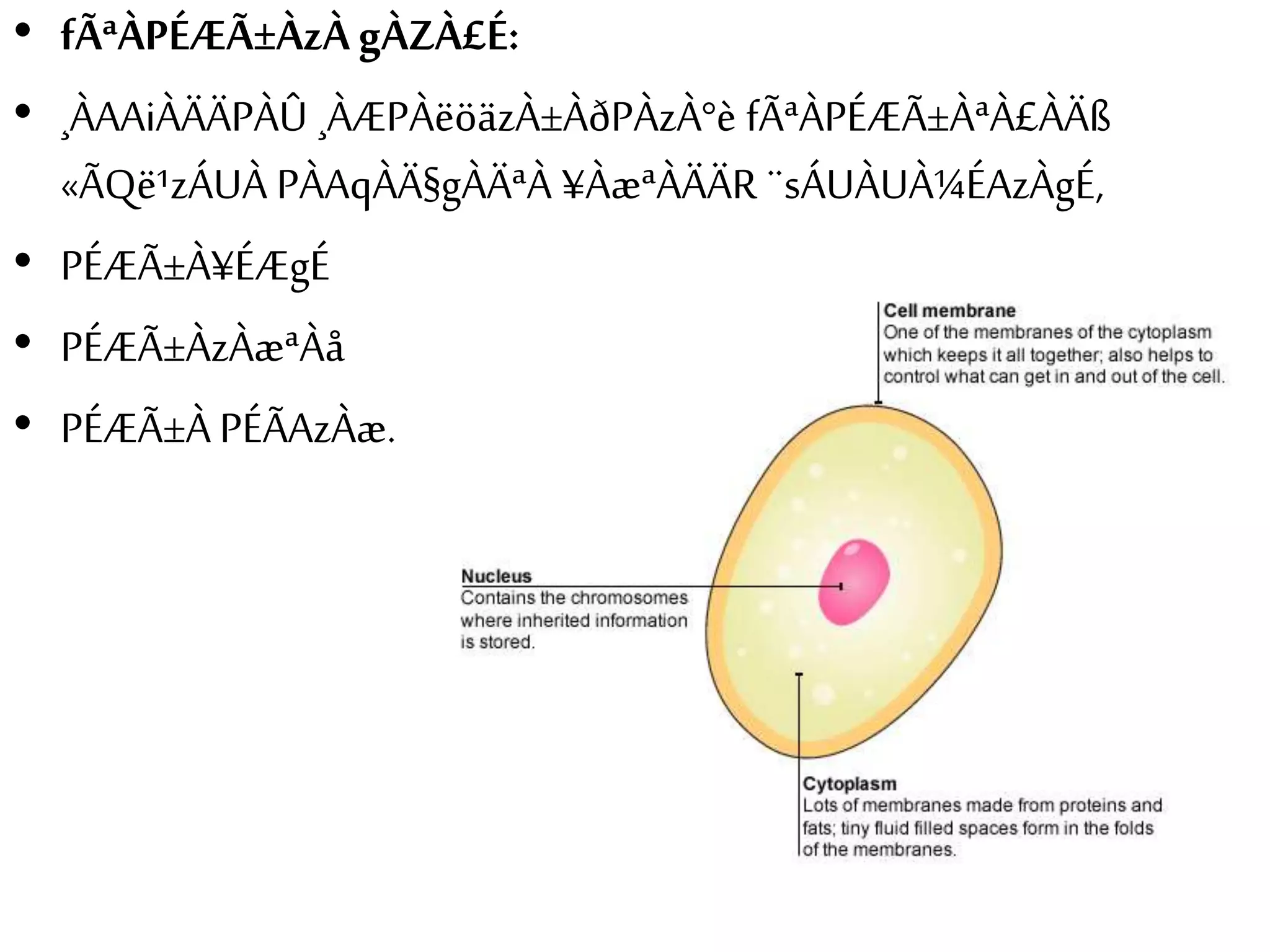 • fÃªÀPÉÆÃ±ÀzÀ gÀZÀ£É: 
• ¸ÀAAiÀÄÄPÀÛ ¸ÀÆPÀëöäzÀ±ÀðPÀzÀ°è fÃªÀPÉÆÃ±ÀªÀ£ÀÄß 
«ÃQë¹zÁUÀ PÀAqÀÄ§gÀÄªÀ ¥ÀæªÀÄÄR ¨sÁUÀUÀ¼ÉAzÀgÉ, 
• PÉÆÃ±À¥ÉÆgÉ 
• PÉÆÃ±ÀzÀæªÀå 
• PÉÆÃ±À PÉÃAzÀæ. 
 