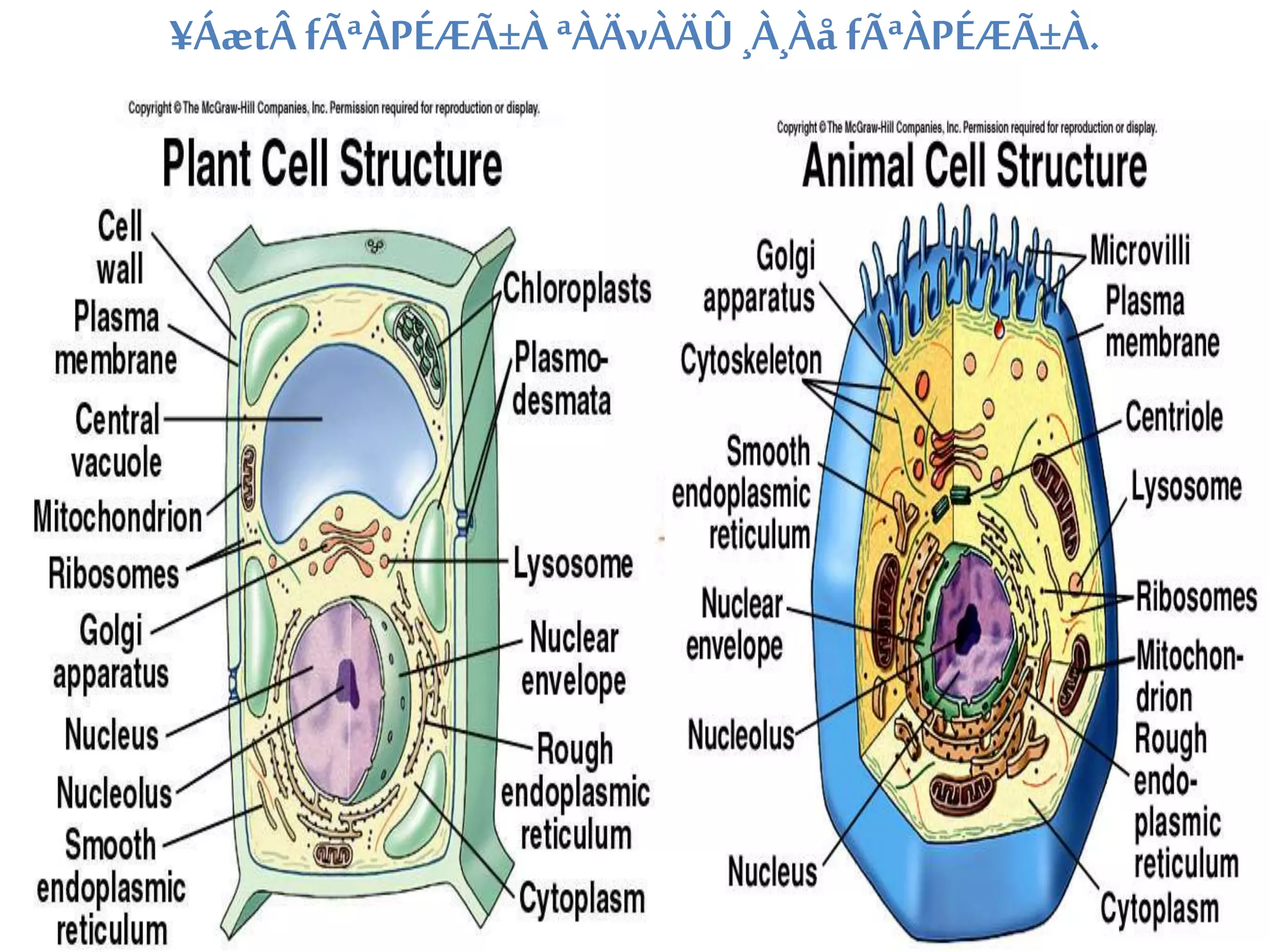 ¥ÁætÂ fÃªÀPÉÆÃ±À ªÀÄvÀÄÛ ¸À¸Àå fÃªÀPÉÆÃ±À. 
 