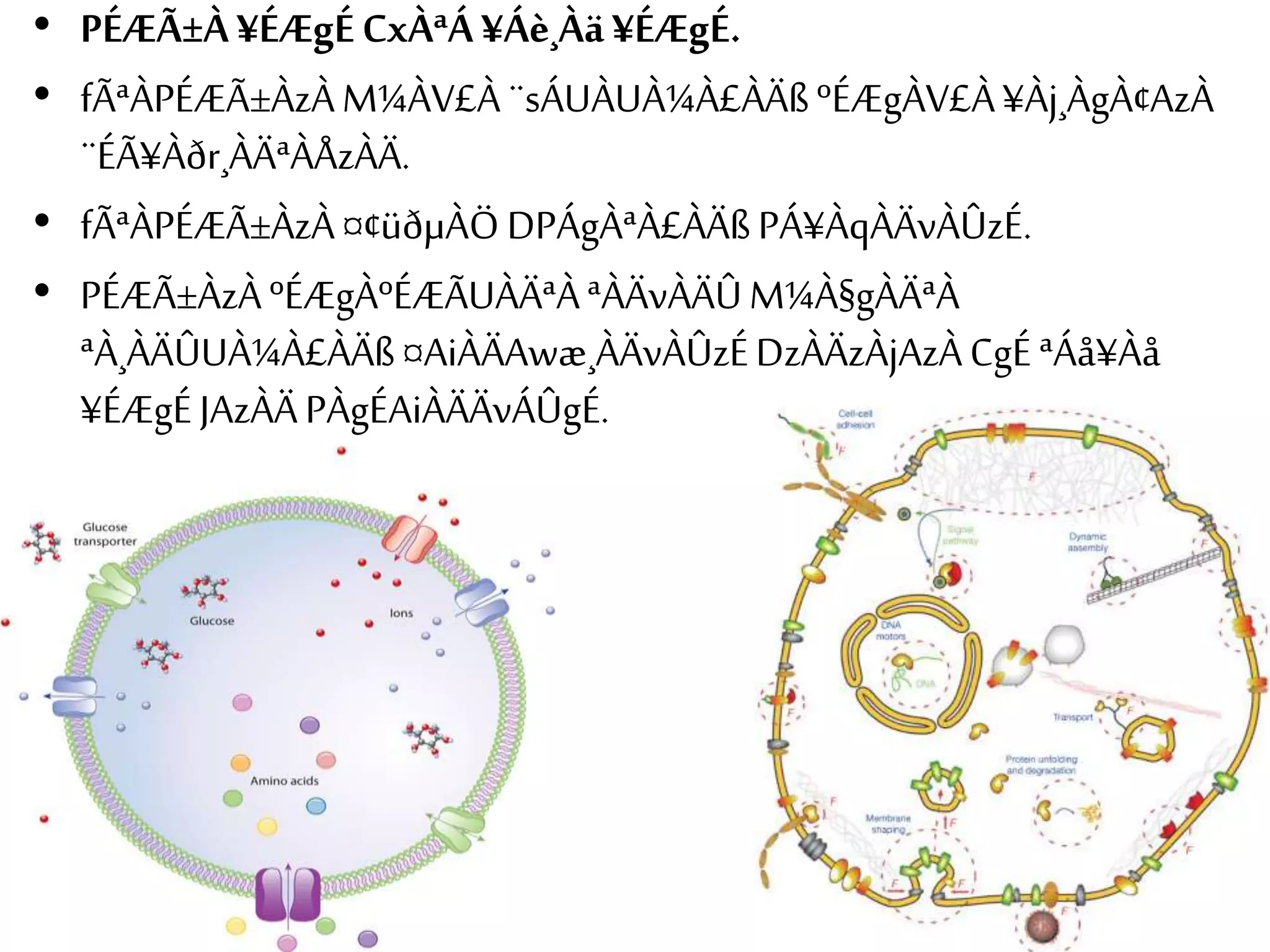 • PÉÆÃ±À ¥ÉÆgÉ CxÀªÁ ¥Áè¸Àä ¥ÉÆgÉ. 
• fÃªÀPÉÆÃ±ÀzÀ M¼ÀV£À ¨sÁUÀUÀ¼À£ÀÄß ºÉÆgÀV£À ¥Àj¸ÀgÀ¢AzÀ 
¨ÉÃ¥Àðr¸ÀÄªÀÅzÀÄ. 
• fÃªÀPÉÆÃ±ÀzÀ ¤¢üðμÀÖ DPÁgÀªÀ£ÀÄß PÁ¥ÀqÀÄvÀÛzÉ. 
• PÉÆÃ±ÀzÀ ºÉÆgÀºÉÆÃUÀÄªÀ ªÀÄvÀÄÛM¼À§gÀÄªÀ 
ªÀ¸ÀÄÛUÀ¼À£ÀÄß ¤AiÀÄAwæ¸ÀÄvÀÛzÉ DzÀÄzÀjAzÀ CgÉ ªÁå¥Àå 
¥ÉÆgÉ JAzÀÄ PÀgÉAiÀÄÄvÁÛgÉ. 
 