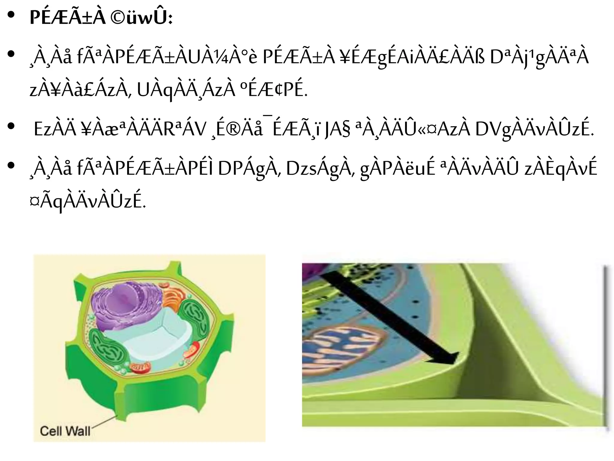 • PÉÆÃ±À ©üwÛ: 
• ¸À¸Àå fÃªÀPÉÆÃ±ÀUÀ¼À°è PÉÆÃ±À ¥ÉÆgÉAiÀÄ£ÀÄß DªÀj¹gÀÄªÀ 
zÀ¥Àà£ÁzÀ, UÀqÀÄ¸ÁzÀ ºÉÆ¢PÉ. 
• EzÀÄ ¥ÀæªÀÄÄRªÁV ¸É®Äå¯ÉÆÃ¸ï JA§ ªÀ¸ÀÄÛ«¤AzÀ DVgÀÄvÀÛzÉ. 
• ¸À¸Àå fÃªÀPÉÆÃ±ÀPÉÌ DPÁgÀ, DzsÁgÀ, gÀPÀëuÉ ªÀÄvÀÄÛ zÀÈqÀvÉ 
¤ÃqÀÄvÀÛzÉ. 
 