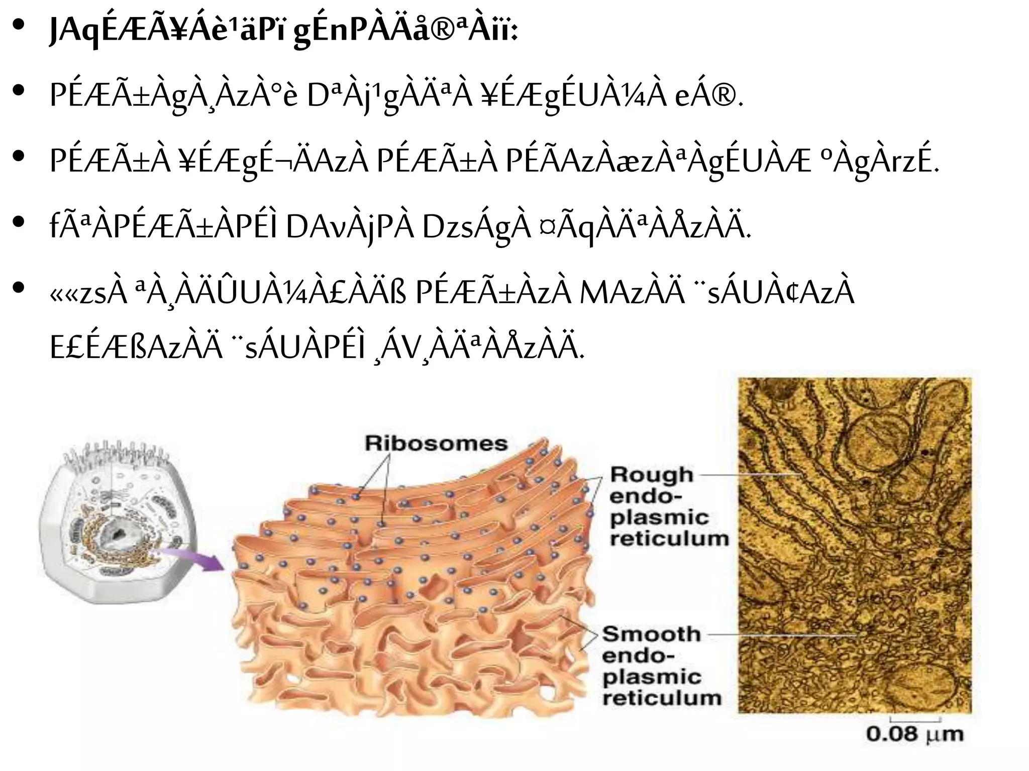 • JAqÉÆÃ¥Áè¹äPï gÉnPÀÄå®ªÀiï: 
• PÉÆÃ±ÀgÀ¸ÀzÀ°è DªÀj¹gÀÄªÀ ¥ÉÆgÉUÀ¼À eÁ®. 
• PÉÆÃ±À ¥ÉÆgÉ¬ÄAzÀ PÉÆÃ±À PÉÃAzÀæzÀªÀgÉUÀÆ ºÀgÀrzÉ. 
• fÃªÀPÉÆÃ±ÀPÉÌ DAvÀjPÀ DzsÁgÀ ¤ÃqÀÄªÀÅzÀÄ. 
• ««zsÀ ªÀ¸ÀÄÛUÀ¼À£ÀÄß PÉÆÃ±ÀzÀ MAzÀÄ ¨sÁUÀ¢AzÀ 
E£ÉÆßAzÀÄ ¨sÁUÀPÉÌ ¸ÁV¸ÀÄªÀÅzÀÄ. 
 
