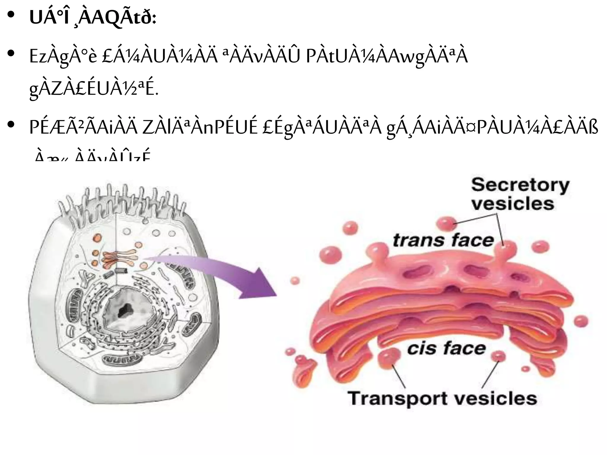 • UÁ°Î ¸ÀAQÃtð: 
• EzÀgÀ°è £Á¼ÀUÀ¼ÀÄ ªÀÄvÀÄÛ PÀtUÀ¼ÀAwgÀÄªÀ 
gÀZÀ£ÉUÀ½ªÉ. 
• PÉÆÃ²ÃAiÀÄ ZÀlÄªÀnPÉUÉ £ÉgÀªÁUÀÄªÀ gÁ¸ÁAiÀÄ¤PÀUÀ¼À£ÀÄß 
¸Àæ«¸ÀÄvÀÛzÉ. 
 