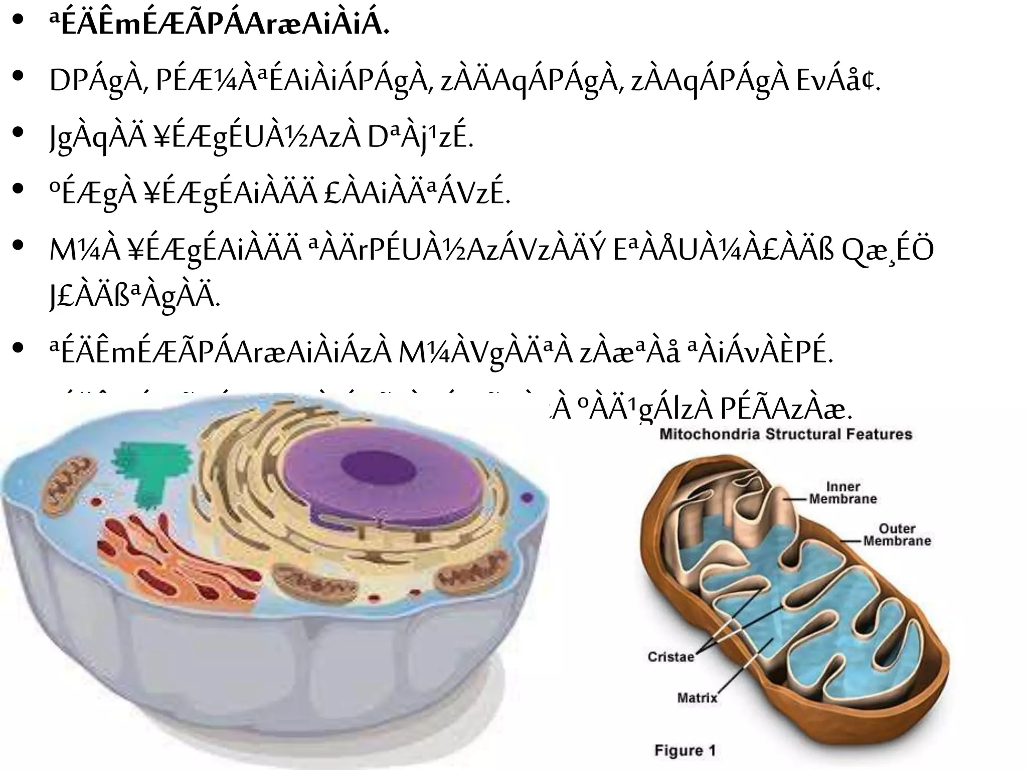 • ªÉÄÊmÉÆÃPÁAræAiÀiÁ. 
• DPÁgÀ, PÉÆ¼ÀªÉAiÀiÁPÁgÀ, zÀÄAqÁPÁgÀ, zÀAqÁPÁgÀ EvÁå¢. 
• JgÀqÀÄ ¥ÉÆgÉUÀ½AzÀ DªÀj¹zÉ. 
• ºÉÆgÀ ¥ÉÆgÉAiÀÄÄ £ÀAiÀÄªÁVzÉ. 
• M¼À ¥ÉÆgÉAiÀÄÄ ªÀÄrPÉUÀ½AzÁVzÀÄÝ EªÀÅUÀ¼À£ÀÄß Qæ¸ÉÖ 
J£ÀÄßªÀgÀÄ. 
• ªÉÄÊmÉÆÃPÁAræAiÀiÁzÀ M¼ÀVgÀÄªÀ zÀæªÀå ªÀiÁvÀÈPÉ. 
• ªÉÄÊmÉÆÃPÁAræAiÀiÁ fÃªÀPÉÆÃ±ÀzÀ ºÀÄ¹gÁlzÀ PÉÃAzÀæ. 
 