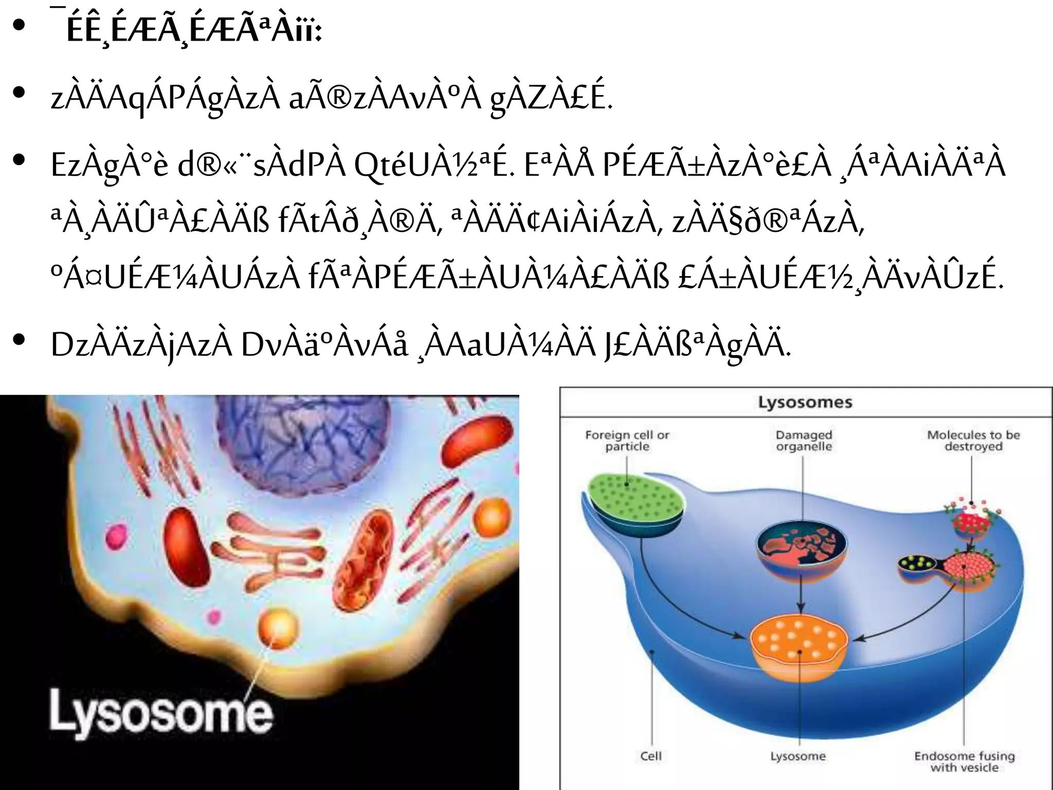 • ¯ÉÊ¸ÉÆÃ¸ÉÆÃªÀiï: 
• zÀÄAqÁPÁgÀzÀ aÃ®zÀAvÀºÀ gÀZÀ£É. 
• EzÀgÀ°è d®«¨sÀdPÀ QtéUÀ½ªÉ. EªÀÅ PÉÆÃ±ÀzÀ°è£À ¸ÁªÀAiÀÄªÀ 
ªÀ¸ÀÄÛªÀ£ÀÄß fÃtÂð¸À®Ä, ªÀÄÄ¢AiÀiÁzÀ, zÀÄ§ð®ªÁzÀ, 
ºÁ¤UÉÆ¼ÀUÁzÀ fÃªÀPÉÆÃ±ÀUÀ¼À£ÀÄß £Á±ÀUÉÆ½¸ÀÄvÀÛzÉ. 
• DzÀÄzÀjAzÀ DvÀäºÀvÁå ¸ÀAaUÀ¼ÀÄ J£ÀÄßªÀgÀÄ. 
 