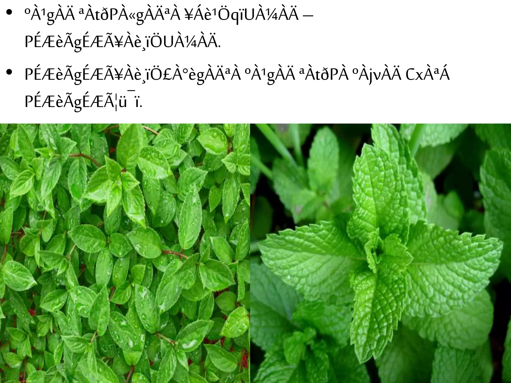 • ºÀ¹gÀÄ ªÀtðPÀ«gÀÄªÀ ¥Áè¹ÖqïUÀ¼ÀÄ – 
PÉÆèÃgÉÆÃ¥Àè¸ïÖUÀ¼ÀÄ. 
• PÉÆèÃgÉÆÃ¥Àè¸ïÖ£À°ègÀÄªÀ ºÀ¹gÀÄ ªÀtðPÀ ºÀjvÀÄ CxÀªÁ 
PÉÆèÃgÉÆÃ¦ü¯ï. 
 