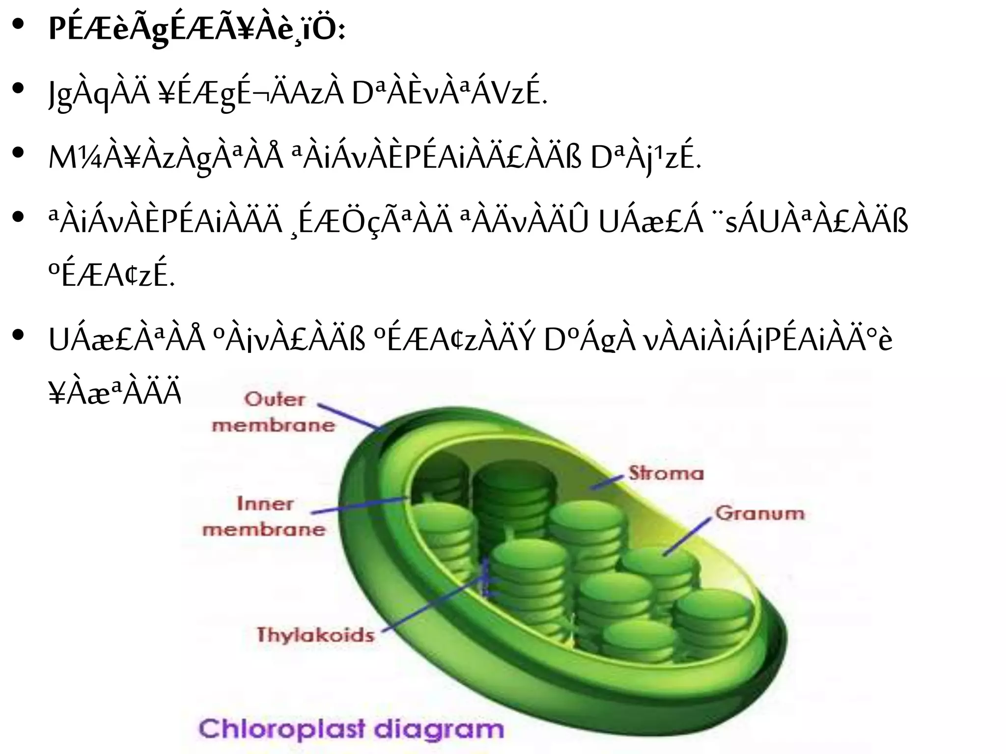 • PÉÆèÃgÉÆÃ¥Àè¸ïÖ: 
• JgÀqÀÄ ¥ÉÆgÉ¬ÄAzÀ DªÀÈvÀªÁVzÉ. 
• M¼À¥ÀzÀgÀªÀÅ ªÀiÁvÀÈPÉAiÀÄ£ÀÄß DªÀj¹zÉ. 
• ªÀiÁvÀÈPÉAiÀÄÄ ¸ÉÆÖçÃªÀÄ ªÀÄvÀÄÛ UÁæ£Á ¨sÁUÀªÀ£ÀÄß 
ºÉÆA¢zÉ. 
• UÁæ£ÀªÀÅ ºÀjvÀ£ÀÄß ºÉÆA¢zÀÄÝ DºÁgÀ vÀAiÀiÁjPÉAiÀÄ°è 
¥ÀæªÀÄÄR ¥ÁvÀæ ªÀ»¸ÀÄvÀÛzÉ. 
 