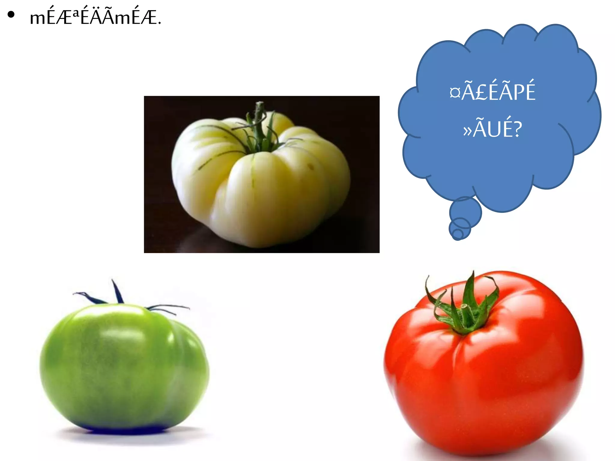 • mÉÆªÉÄÃmÉÆ. 
¤Ã£ÉÃPÉ 
»ÃUÉ? 
 