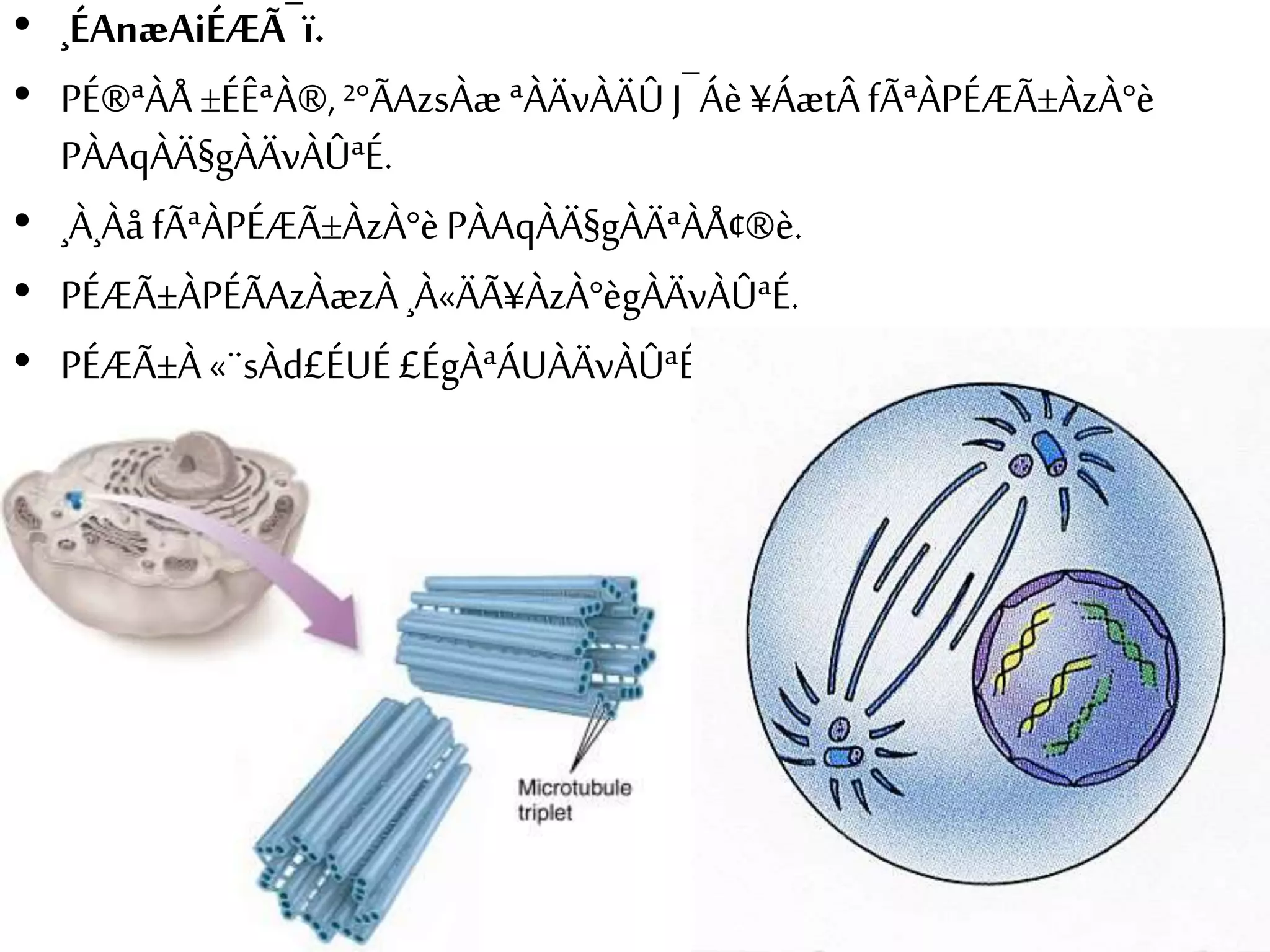 • ¸ÉAnæAiÉÆÃ¯ï. 
• PÉ®ªÀÅ ±ÉÊªÀ®, ²°ÃAzsÀæ ªÀÄvÀÄÛ J¯Áè ¥ÁætÂ fÃªÀPÉÆÃ±ÀzÀ°è 
PÀAqÀÄ§gÀÄvÀÛªÉ. 
• ¸À¸Àå fÃªÀPÉÆÃ±ÀzÀ°è PÀAqÀÄ§gÀÄªÀÅ¢®è. 
• PÉÆÃ±ÀPÉÃAzÀæzÀ ¸À«ÄÃ¥ÀzÀ°ègÀÄvÀÛªÉ. 
• PÉÆÃ±À «¨sÀd£ÉUÉ £ÉgÀªÁUÀÄvÀÛªÉ. 
 