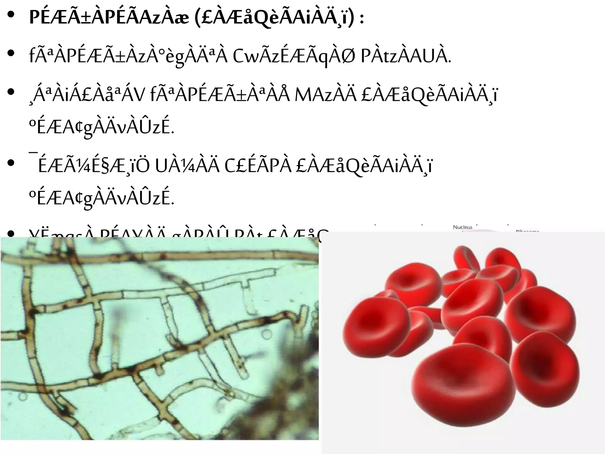 • PÉÆÃ±ÀPÉÃAzÀæ (£ÀÆåQèÃAiÀÄ¸ï) : 
• fÃªÀPÉÆÃ±ÀzÀ°ègÀÄªÀ CwÃzÉÆÃqÀØ PÀtzÀAUÀ. 
• ¸ÁªÀiÁ£ÀåªÁV fÃªÀPÉÆÃ±ÀªÀÅ MAzÀÄ £ÀÆåQèÃAiÀÄ¸ï 
ºÉÆA¢gÀÄvÀÛzÉ. 
• ¯ÉÆÃ¼É§Æ¸ïÖ UÀ¼ÀÄ C£ÉÃPÀ £ÀÆåQèÃAiÀÄ¸ï 
ºÉÆA¢gÀÄvÀÛzÉ. 
• ¥ËæqsÀ PÉA¥ÀÄ gÀPÀÛ PÀt £ÀÆåQèÃAiÀÄ¸ï ºÉÆA¢gÀÄªÀÅ¢®è. 
 