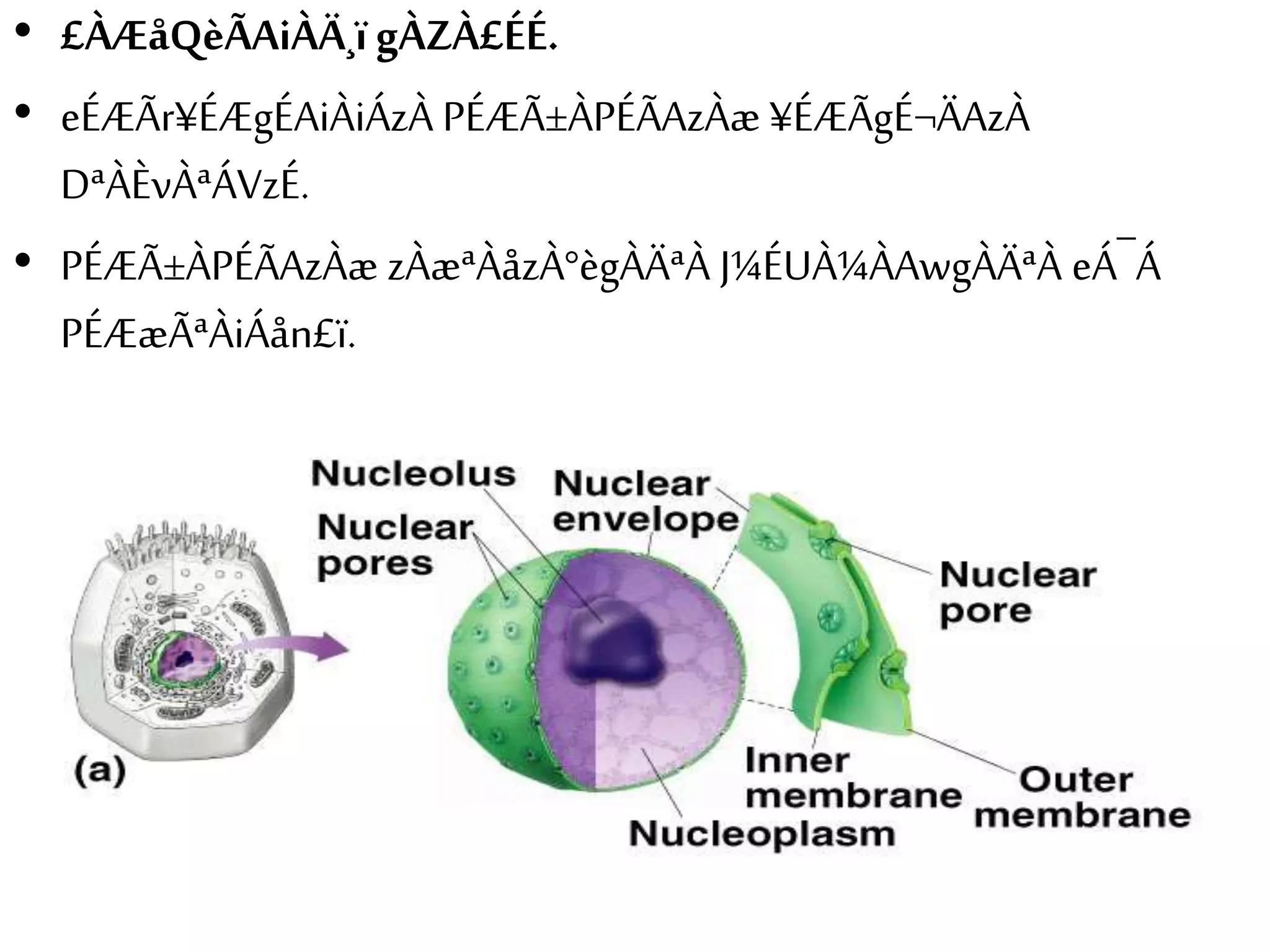 • £ÀÆåQèÃAiÀÄ¸ï gÀZÀ£ÉÉ. 
• eÉÆÃr¥ÉÆgÉAiÀiÁzÀ PÉÆÃ±ÀPÉÃAzÀæ ¥ÉÆÃgÉ¬ÄAzÀ 
DªÀÈvÀªÁVzÉ. 
• PÉÆÃ±ÀPÉÃAzÀæ zÀæªÀåzÀ°ègÀÄªÀ J¼ÉUÀ¼ÀAwgÀÄªÀ eÁ¯Á 
PÉÆæÃªÀiÁån£ï. 
 