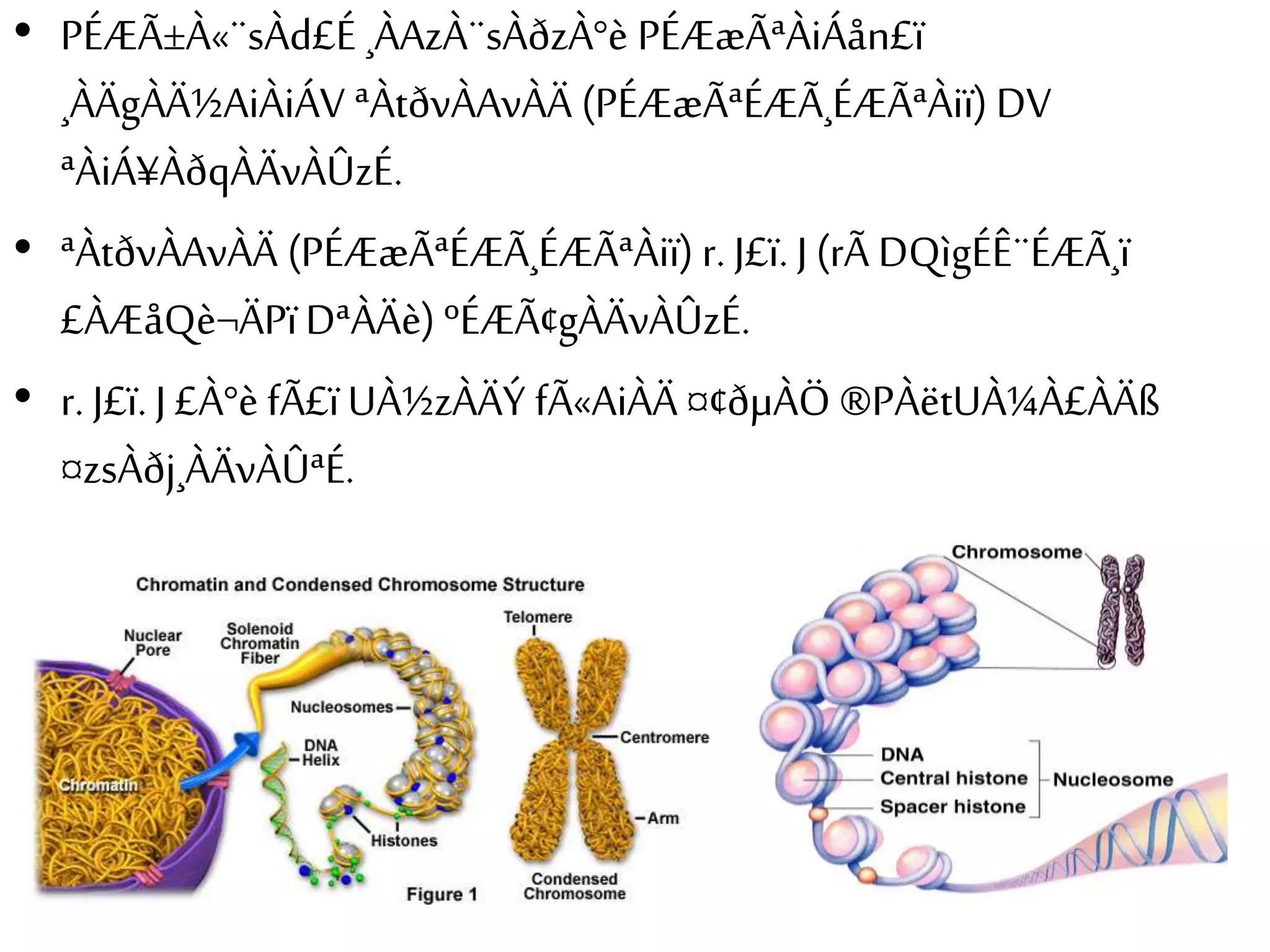 • PÉÆÃ±À«¨sÀd£É ¸ÀAzÀ¨sÀðzÀ°è PÉÆæÃªÀiÁån£ï 
¸ÀÄgÀÄ½AiÀiÁV ªÀtðvÀAvÀÄ (PÉÆæÃªÉÆÃ¸ÉÆÃªÀiï) DV 
ªÀiÁ¥ÀðqÀÄvÀÛzÉ. 
• ªÀtðvÀAvÀÄ (PÉÆæÃªÉÆÃ¸ÉÆÃªÀiï) r. J£ï. J (rÃ DQìgÉÊ¨ÉÆÃ¸ï 
£ÀÆåQè¬ÄPï DªÀÄè) ºÉÆÃ¢gÀÄvÀÛzÉ. 
• r. J£ï. J £À°è fÃ£ï UÀ½zÀÄÝ fÃ«AiÀÄ ¤¢ðμÀÖ ®PÀëtUÀ¼À£ÀÄß 
¤zsÀðj¸ÀÄvÀÛªÉ. 
 