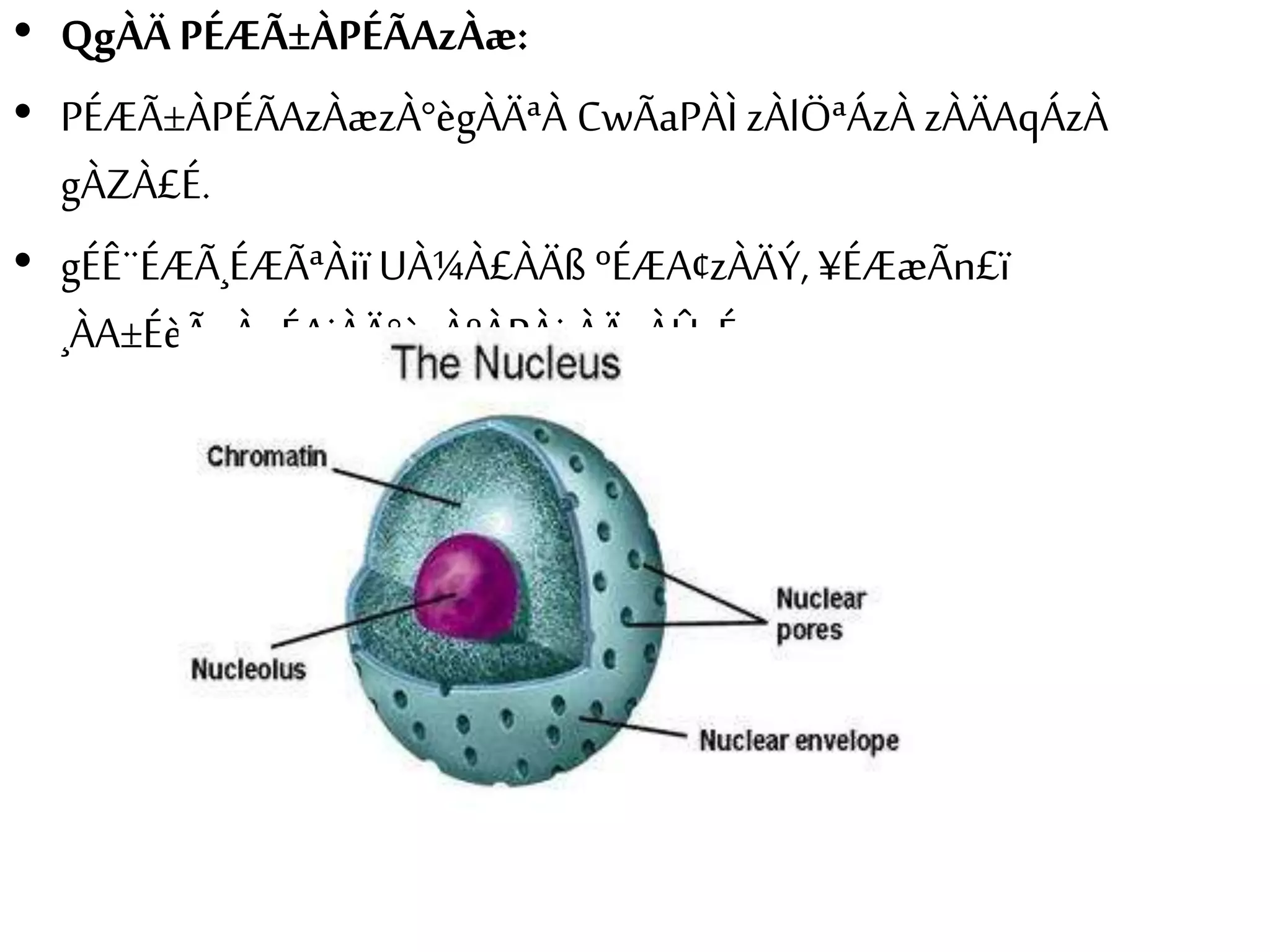 • QgÀÄ PÉÆÃ±ÀPÉÃAzÀæ: 
• PÉÆÃ±ÀPÉÃAzÀæzÀ°ègÀÄªÀ CwÃaPÀÌ zÀlÖªÁzÀ zÀÄAqÁzÀ 
gÀZÀ£É. 
• gÉÊ¨ÉÆÃ¸ÉÆÃªÀiï UÀ¼À£ÀÄß ºÉÆA¢zÀÄÝ, ¥ÉÆæÃn£ï 
¸ÀA±ÉèÃμÀuÉAiÀÄ°è ¸ÀºÀPÀj¸ÀÄvÀÛzÉ. 
 