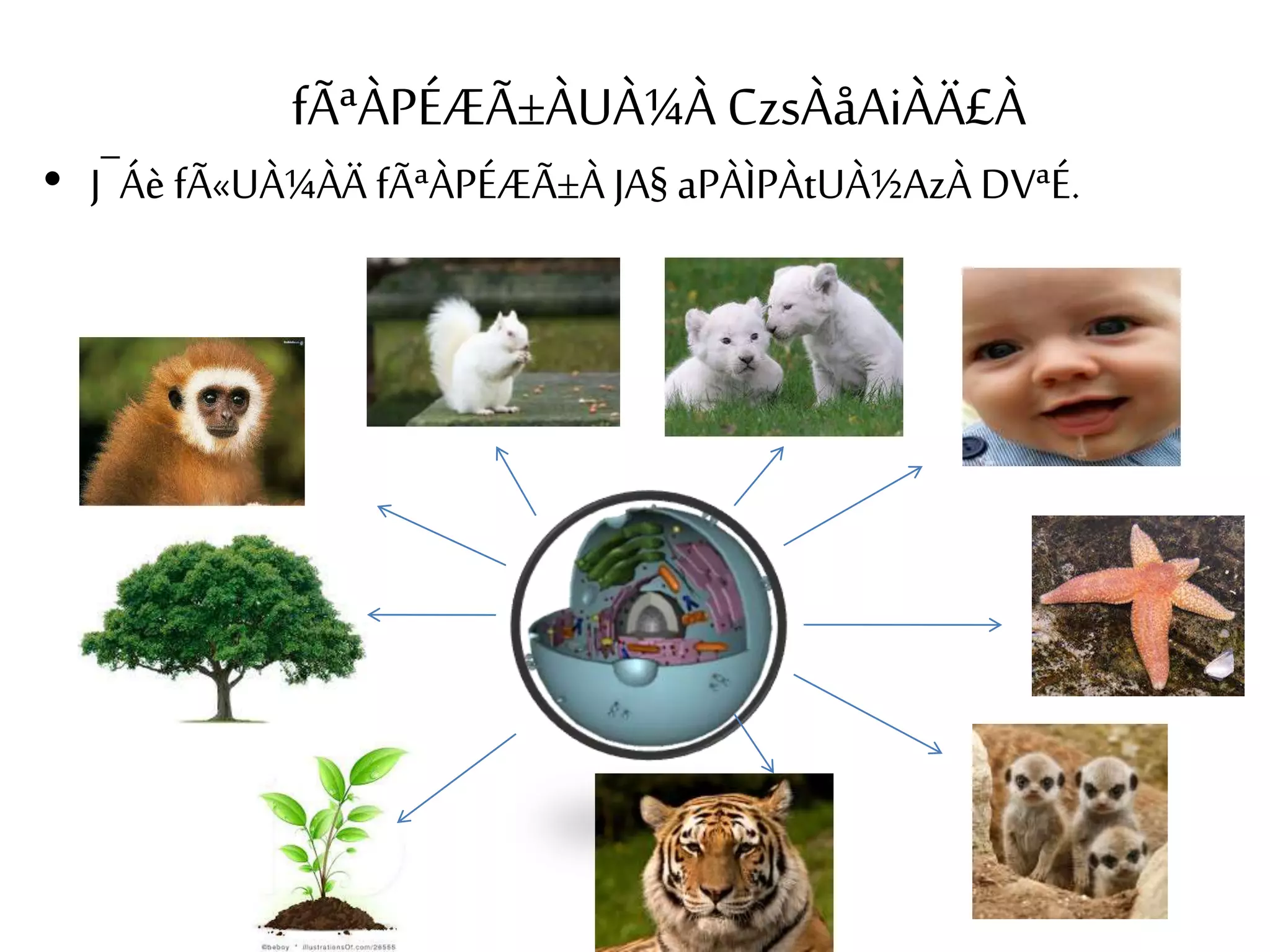 fÃªÀPÉÆÃ±ÀUÀ¼À CzsÀåAiÀÄ£À 
• J¯Áè fÃ«UÀ¼ÀÄ fÃªÀPÉÆÃ±À JA§ aPÀÌPÀtUÀ½AzÀ DVªÉ. 
 