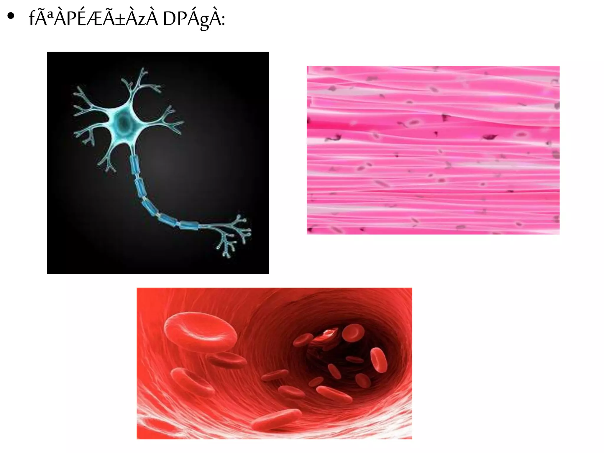 • fÃªÀPÉÆÃ±ÀzÀ DPÁgÀ: 
 