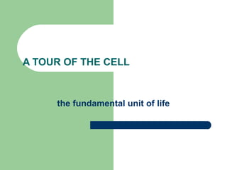 A TOUR OF THE CELL 
the fundamental unit of life 
 