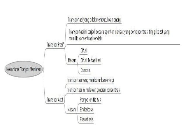 Contoh Difusi Tumbuhan Kerkose