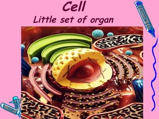 Cell
Little set of organ
 