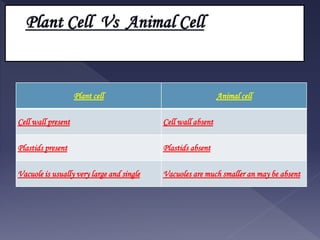 Plant cell Animal cell
Cell wall present Cell wall absent
Plastids present Plastids absent
Vacuole is usually very large and single Vacuoles are much smaller an may be absent
 