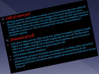 Cell