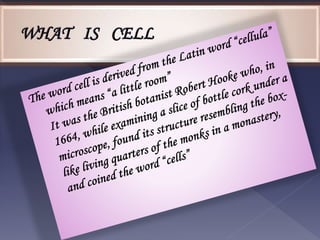 Cell