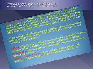 Cell