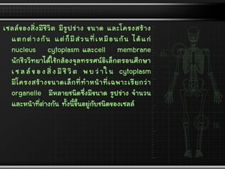 เซลล์ของสิ่งมีชีวิต มีรูปร่าง ขนาด และโครงสร้าง
แตกต่างกัน แต่ก็มีส่วนที่เหมือนกัน ได้แก่
nucleus cytoplasm และcell membrane
นักชีววิทยาได้ใช้กล้องจุลทรรศน์อิเล็กตรอนศึกษา
เ ซ ล ล์ ข อ ง สิ่ ง มี ชี วิ ต พ บ ว่ า ใ น cytoplasm
มีโครงสร้างขนาดเล็กที่ทาหน้าที่เฉพาะเรียกว่า
organelle มีหลายชนิดซึ่งมีขนาด รูปร่าง จานวน
และหน้าที่ต่างกัน ทั้งนี้ขึ้นอยู่กับชนิดของเซลล์
 